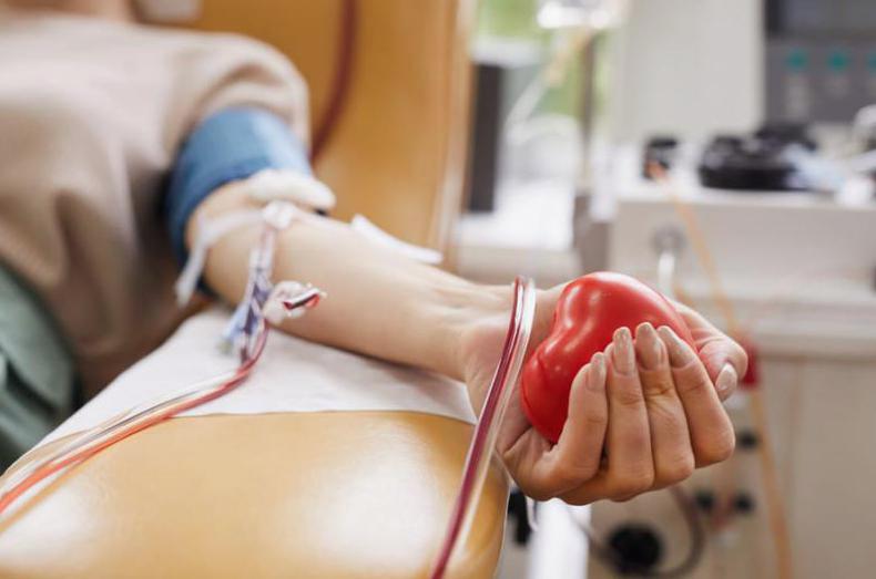 Mobilne punkty krwiodawstwa – na czym polega ich funkcjonowanie?